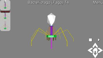 3D Bacteriophage T4 Explorer capture d'écran 1