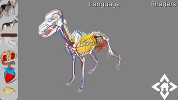 3D Dog Explorer Affiche