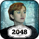 APK 2048: Snow White