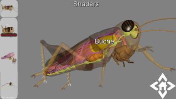 3D Grasshopper Explorer Affiche