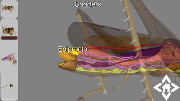 3D Grasshopper Explorer capture d'écran 2