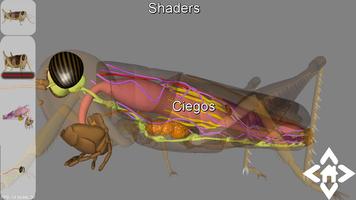3D Grasshopper Explorer capture d'écran 1