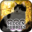 Hidden Bubbles: Cat Tailz