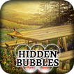 Hidden Bubbles: Summer Garden