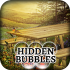 Hidden Bubbles: Summer Garden icon