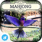 Hidden Mahjong: Aviary biểu tượng