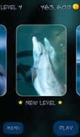Hidden Mahjong: Dolphin Dreamz capture d'écran 2