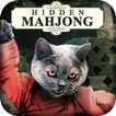 Hidden Mahjong Furious Critter