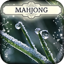 Hidden Mahjong: Winter Frost APK