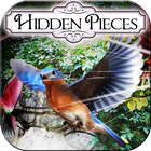 Hidden Pieces: Aviary 아이콘