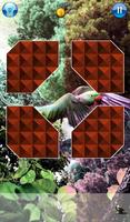 Hidden Pieces: Aviary ảnh chụp màn hình 2