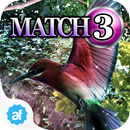 Match 3 - Aviary APK
