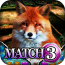Match 3: The Fox Says APK