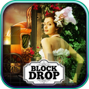 APK Block Drop: Cinderella
