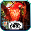 Block Drop: Tree of Life