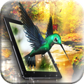 3D Wallpaper: Autumn Colors