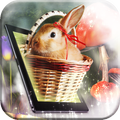 3D Wallpaper: Bunny Hop