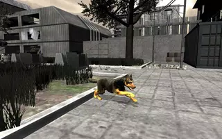 Secret Agent Lara Croft : Front Line Commando Ekran Görüntüsü 1