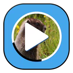 Smart Video Player