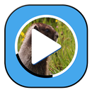 Smart Video Player APK