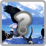 Carnivore Or Herbivore