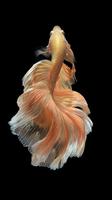 AMOLED Live HD Wallpapers ภาพหน้าจอ 1