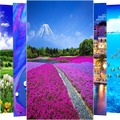 Best Live HD Wallpapers