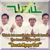 Wali - Bocah Ngapa Yak Mp3 تصوير الشاشة 2