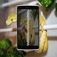 Snake Zipper Lock Screen Affiche