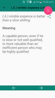 Idioms & Phrases Dictionary screenshot 3