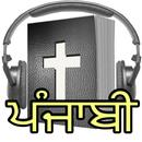 APK Punjabi Audio Bible