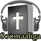 Somali Audio Bible icono