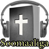 Somali Audio Bible 图标