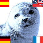 Blueseal Dictionary icon