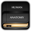 Human Anatomy Dictionary