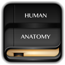 APK Human Anatomy Dictionary