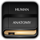 Human Anatomy Dictionary أيقونة