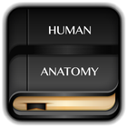 Human Anatomy Dictionary icône