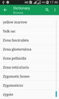 Human Anatomy Dictionary الملصق