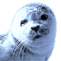 Blueseal Dictionary