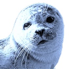 Blueseal Dictionary icono