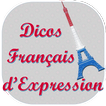 dictionnaire francais d expression