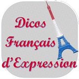 dictionnaire francais d'expression