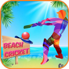Beach Cricket 2017! ikon