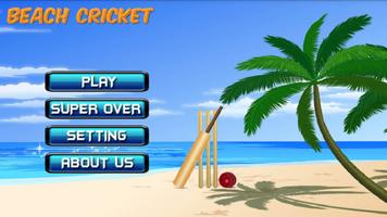 Beach Cricket 2017! Affiche