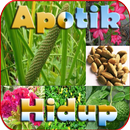 Tanaman Apotik Hidup APK