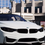 Real BMW Simulator M3
