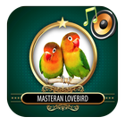 Masteran Lovebird ikon