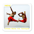 Chinese Martial Arts Techniques APK