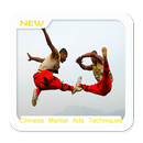 فنون الدفاع عن النفس الصينية تقنيات APK